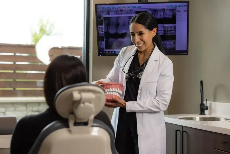 Dentist showing a patient a dental model